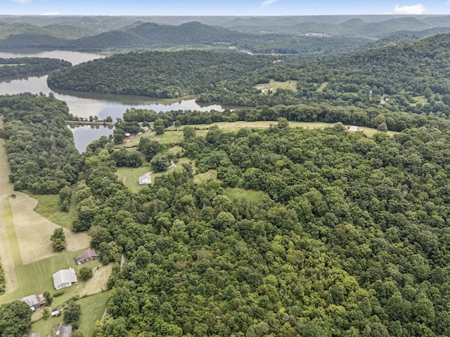 13 Grisham Hollow Ln, Elmwood, TN 38560 - photo 36