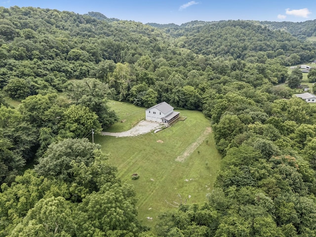 13 Grisham Hollow Ln, Elmwood, TN 38560 - photo 42