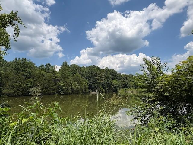 13 Grisham Hollow Ln, Elmwood, TN 38560 - photo 44