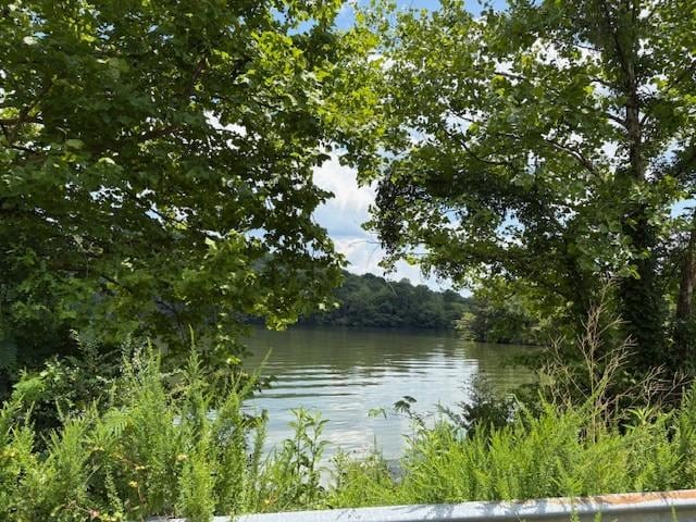 13 Grisham Hollow Ln, Elmwood, TN 38560 - photo 43