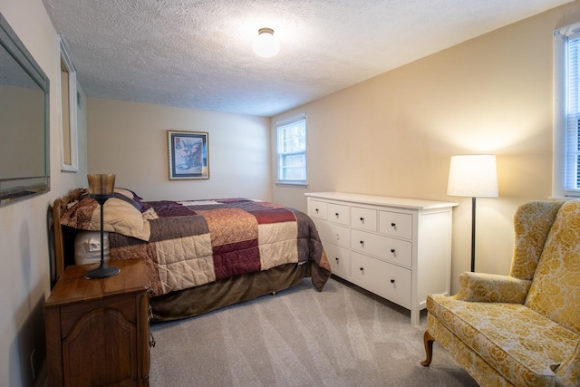 9262 Covington Rd, White House, TN 37188 - photo 37