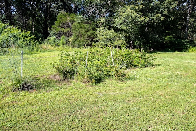 9262 Covington Rd, White House, TN 37188 - photo 46