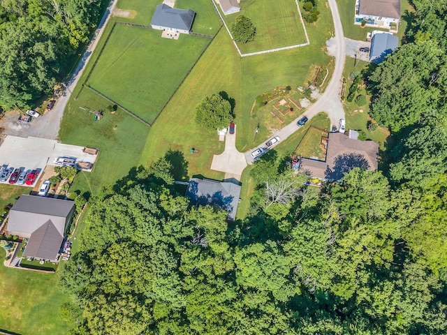3482 Mahlon Moore Rd, Spring Hill, TN 37174 - photo 31