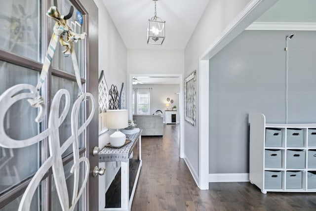 2426 Telford Ln, Murfreesboro, TN 37128 - foyer entrance featuring wood finished floors