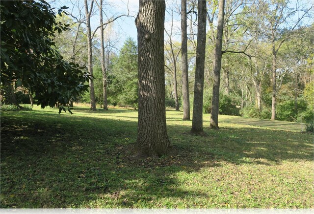 6720 Fleetwood Dr, Nashville, TN 37205 - photo 21
