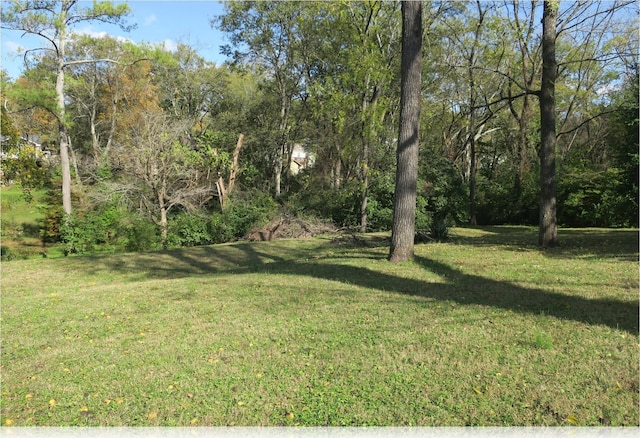 6720 Fleetwood Dr, Nashville, TN 37205 - photo 22