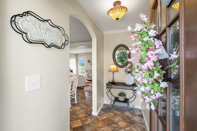 1011 Mccormick Xing, Spring Hill, TN 37174 - photo 11