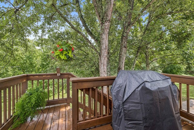 1108 Blue Springs Rd, Franklin, TN 37069 - photo 36