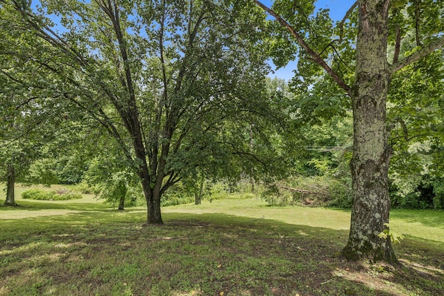 1108 Blue Springs Rd, Franklin, TN 37069 - photo 75