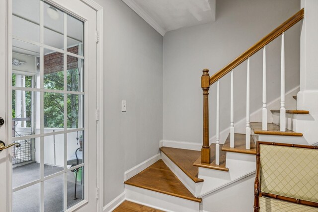 1108 Blue Springs Rd, Franklin, TN 37069 - photo 48