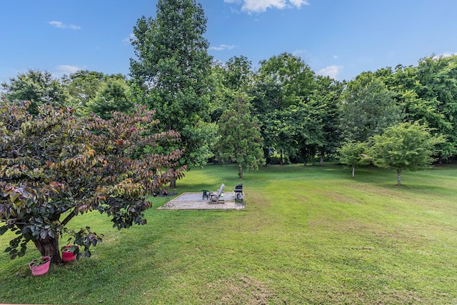 75 Brummitt Rd, Castalian Springs, TN 37031 - photo 47