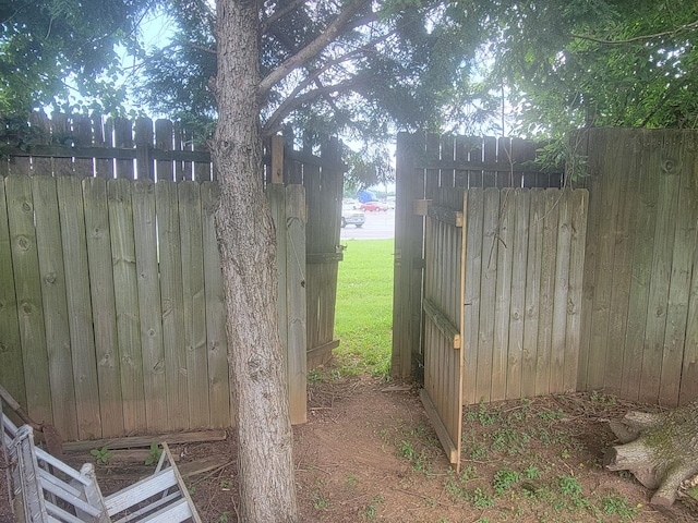 610 Winthrop Ave, Smyrna, TN 37167 - photo 9