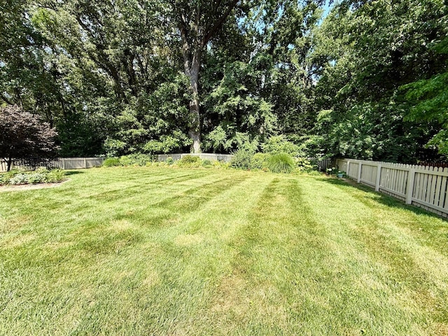 234 Longwood Ln, Clarksville, TN 37043 - photo 35