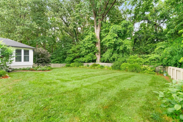 234 Longwood Ln, Clarksville, TN 37043 - photo 65