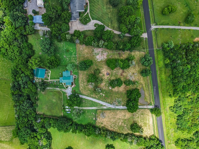 921 Hickory Hills Dr, Franklin, TN 37067 - photo 14
