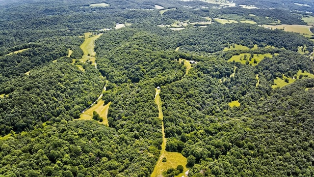 660 Vaden Hill Ln, Bethpage, TN 37022 - photo 87