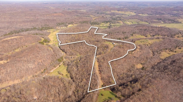 660 Vaden Hill Ln, Bethpage, TN 37022 - photo 73