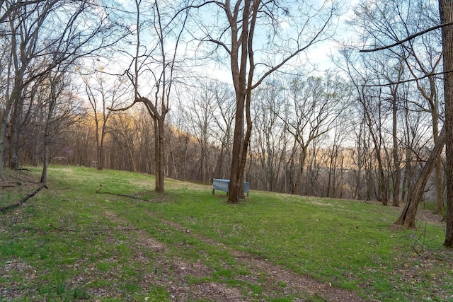 660 Vaden Hill Ln, Bethpage, TN 37022 - photo 61
