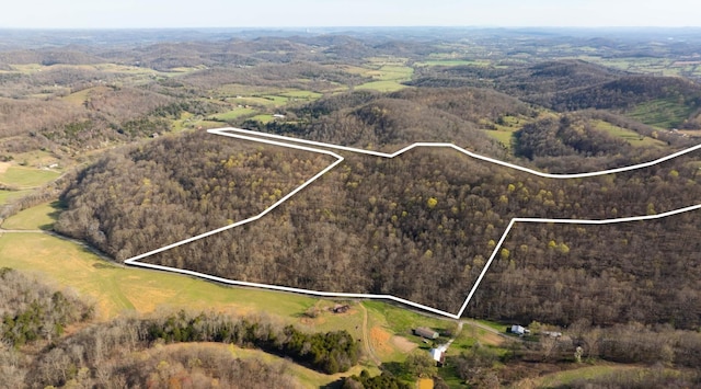 660 Vaden Hill Ln, Bethpage, TN 37022 - photo 74