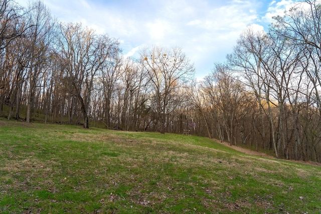 660 Vaden Hill Ln, Bethpage, TN 37022 - photo 62