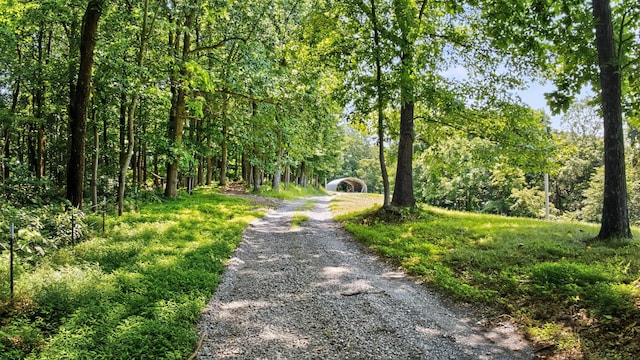 660 Vaden Hill Ln, Bethpage, TN 37022 - photo 77