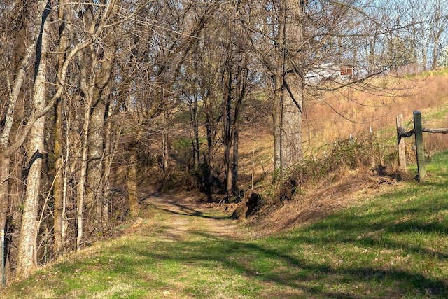 660 Vaden Hill Ln, Bethpage, TN 37022 - photo 65