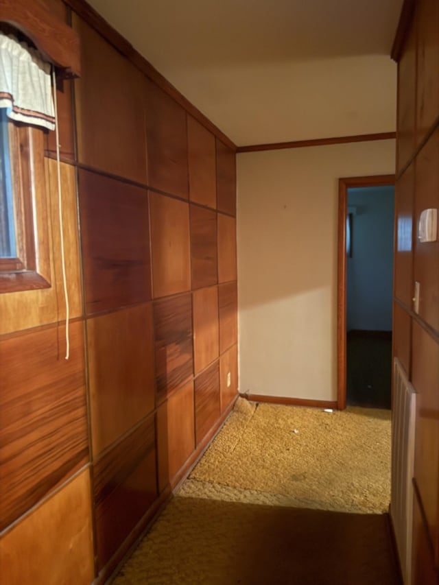 887 Elwood Dr, Clarksville, TN 37040 - hallway with carpet