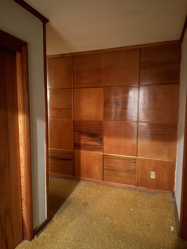 887 Elwood Dr, Clarksville, TN 37040 - view of closet