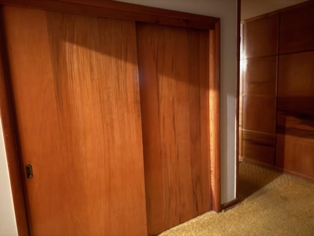 887 Elwood Dr, Clarksville, TN 37040 - view of closet