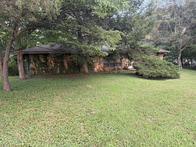 887 Elwood Dr, Clarksville, TN 37040 - view of green lawn