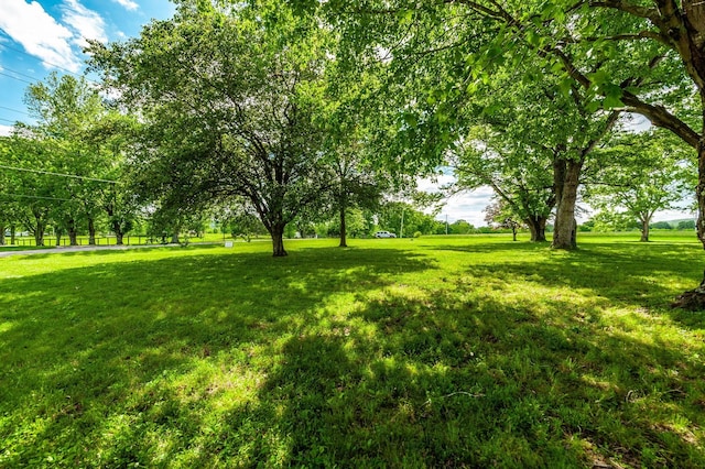 1176 Liberty Ln, Gallatin, TN 37066 - photo 8