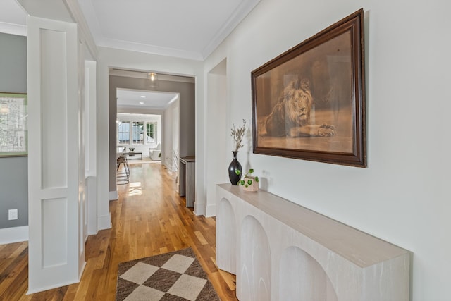 3813 Elkins Ave, Nashville, TN 37209 - photo 5