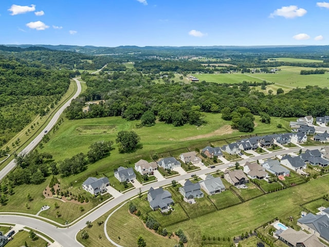 7204 Ludlow Dr, College Grove, TN 37046 - photo 56