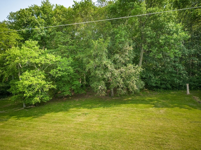 6014 Sherwood Ct, Nashville, TN 37215 - photo 6