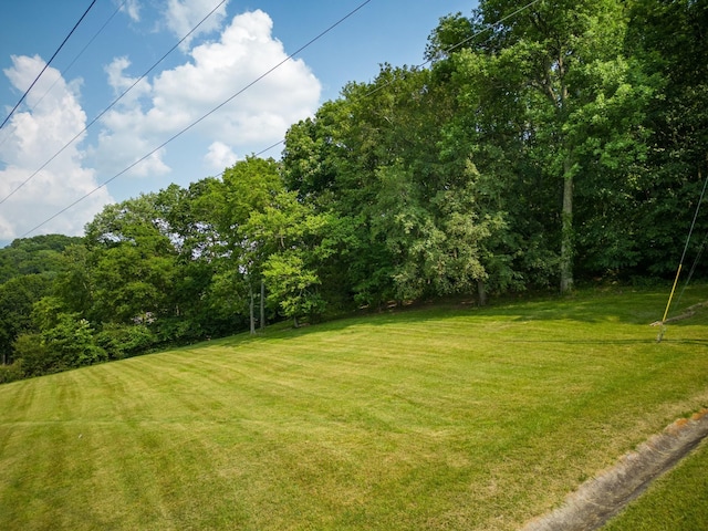 6014 Sherwood Ct, Nashville, TN 37215 - photo 1