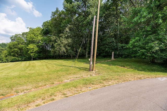 6014 Sherwood Ct, Nashville, TN 37215 - photo 22