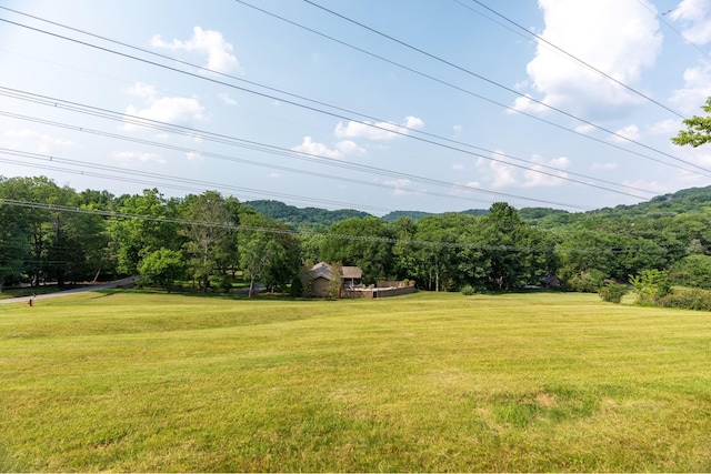 6014 Sherwood Ct, Nashville, TN 37215 - photo 14