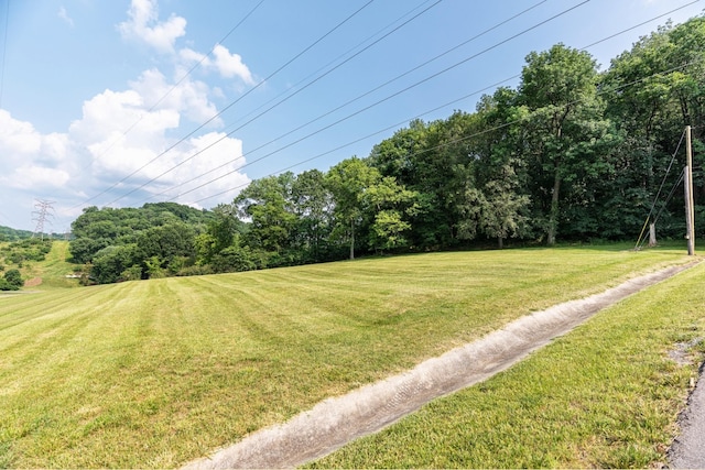 6014 Sherwood Ct, Nashville, TN 37215 - photo 7