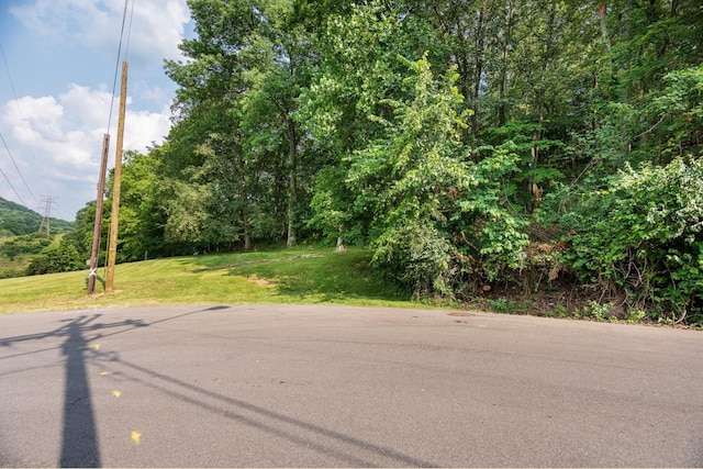 6014 Sherwood Ct, Nashville, TN 37215 - photo 19