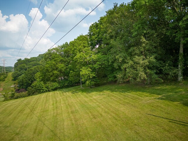 6014 Sherwood Ct, Nashville, TN 37215 - photo 11