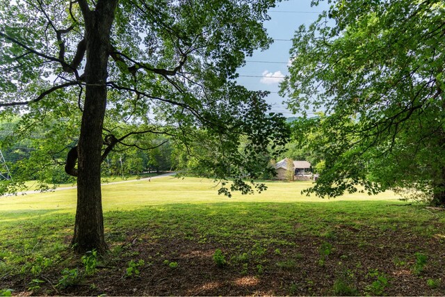 6014 Sherwood Ct, Nashville, TN 37215 - photo 3