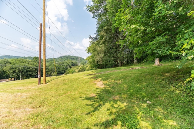 6014 Sherwood Ct, Nashville, TN 37215 - photo 21