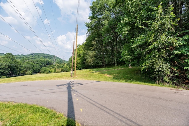 6014 Sherwood Ct, Nashville, TN 37215 - photo 20