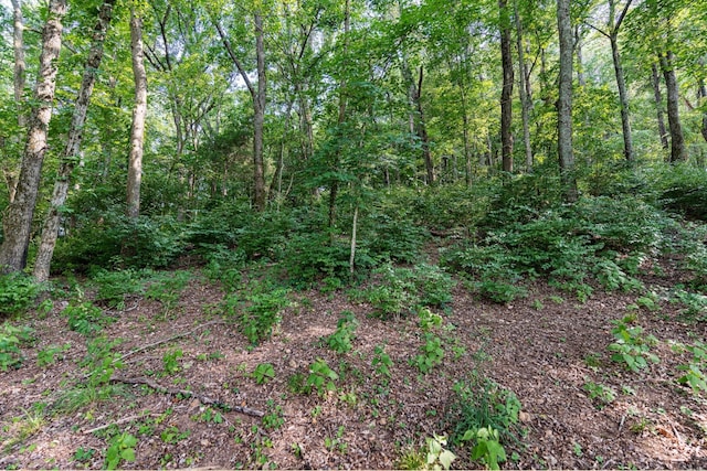 6014 Sherwood Ct, Nashville, TN 37215 - photo 16