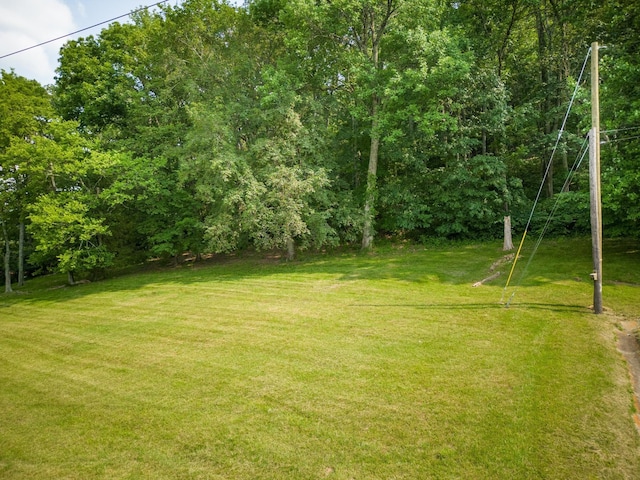 6014 Sherwood Ct, Nashville, TN 37215 - photo 12