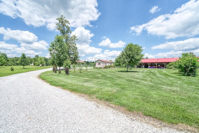 125 Clarence Lee Rd, Lancing, TN 37770 - view of green lawn