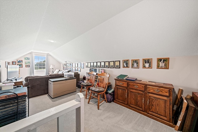 125 Clarence Lee Rd, Lancing, TN 37770 - home office featuring vaulted ceiling and light carpet
