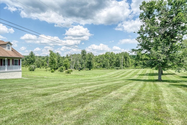 125 Clarence Lee Rd, Lancing, TN 37770 - view of green lawn