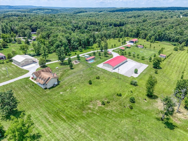125 Clarence Lee Rd, Lancing, TN 37770 - overview of rural landscape featuring a forest
