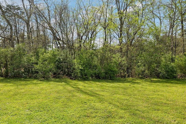 6002 Temple Rd, Nashville, TN 37221 - view of green lawn
